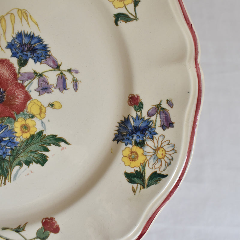 Vintage Plate 23cm Digoin & Sarreguemines Agreste B