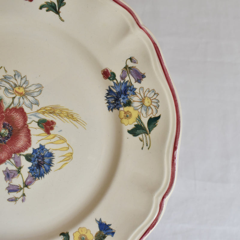 Vintage Plate 23cm Digoin & Sarreguemines Agreste B