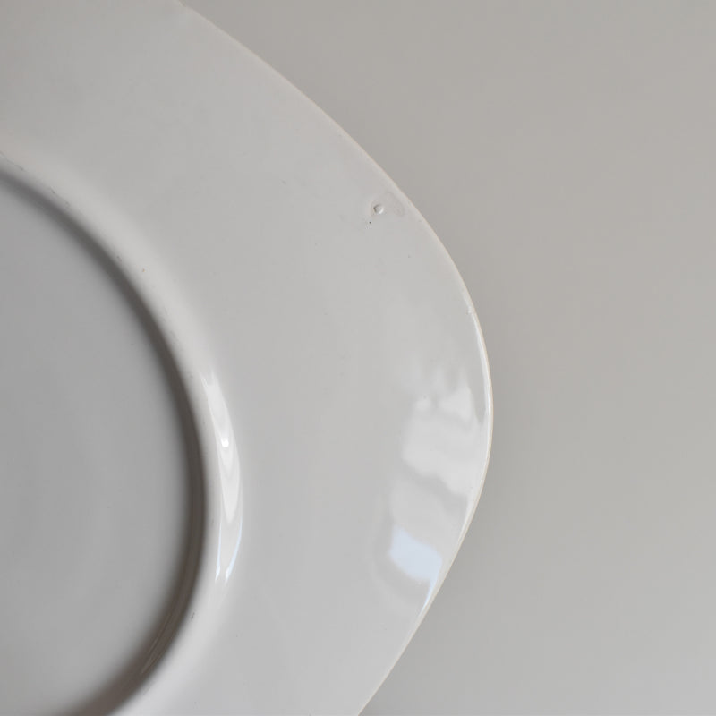 Vintage Plate - Longchamp "Poisson Gardon" (Roach)