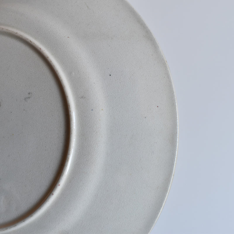 Antique Decorative Plate, FF Pequignot, Lyon A