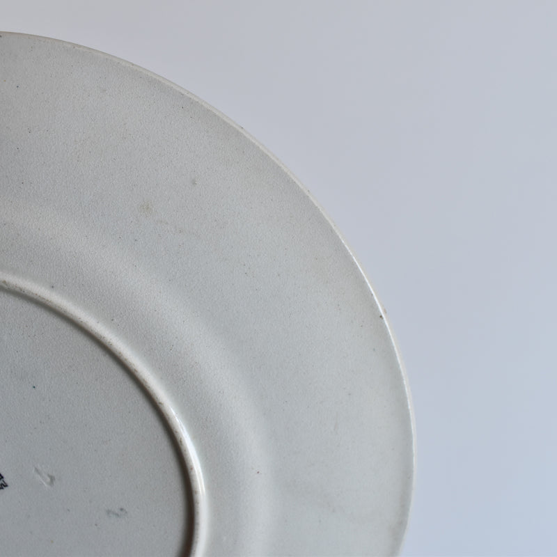 Antique Decorative Plate, FF Pequignot, Lyon A