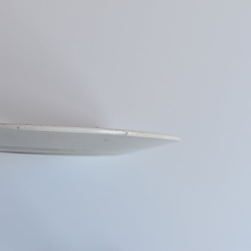 Antique Decorative Plate, FF Pequignot, Lyon A