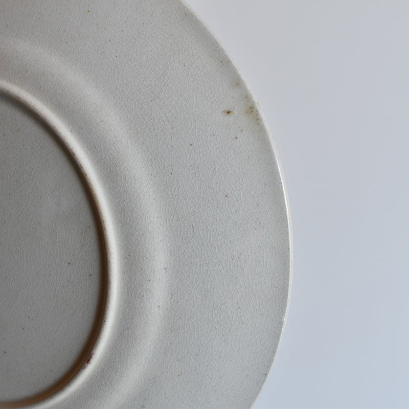 Antique Decorative Plate, F.F. Pecsonne, Lyon B