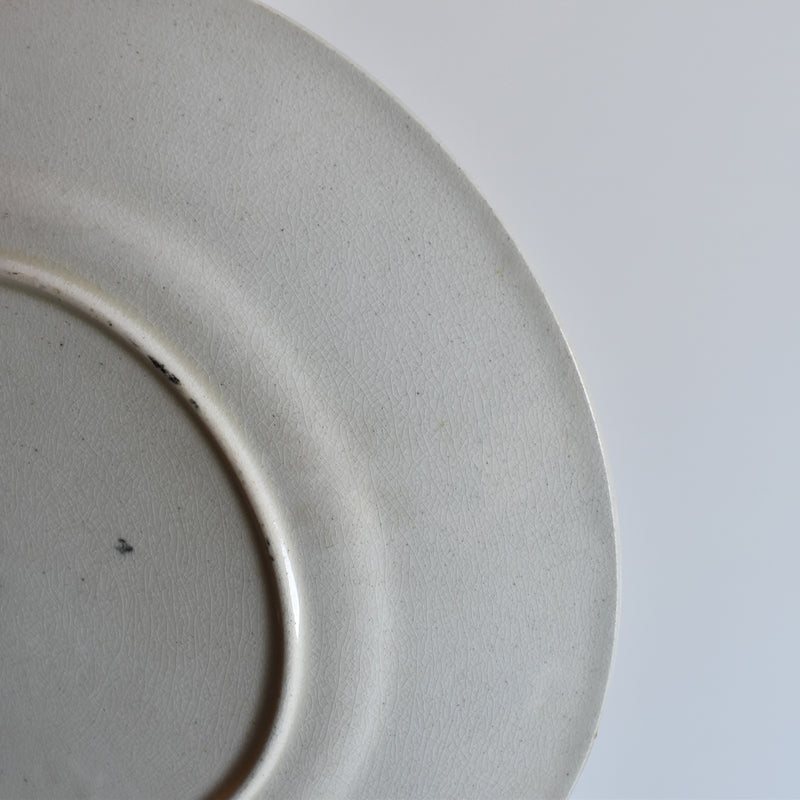 Antique Decorative Plate, F.F. Pecsonne, Lyon B