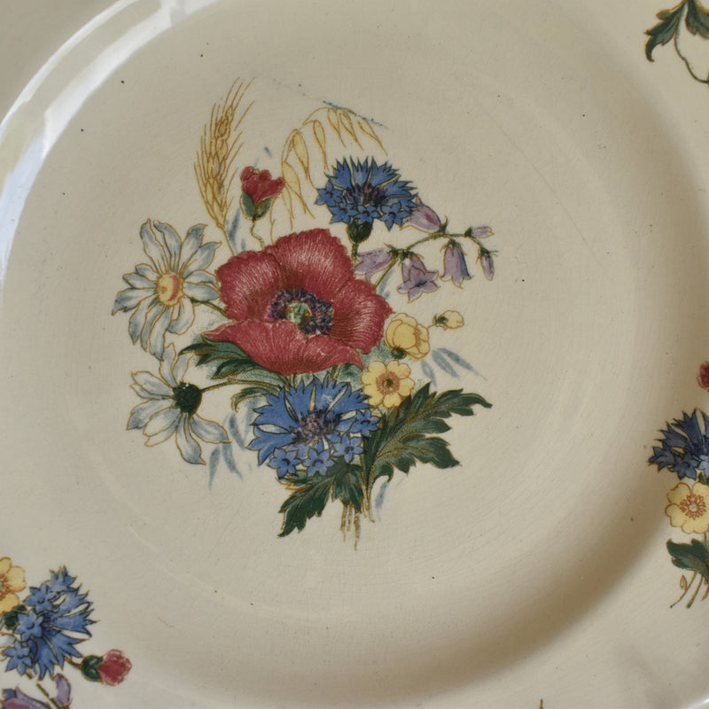 Vintage Digoin & Sarreguemines Footed Plate A