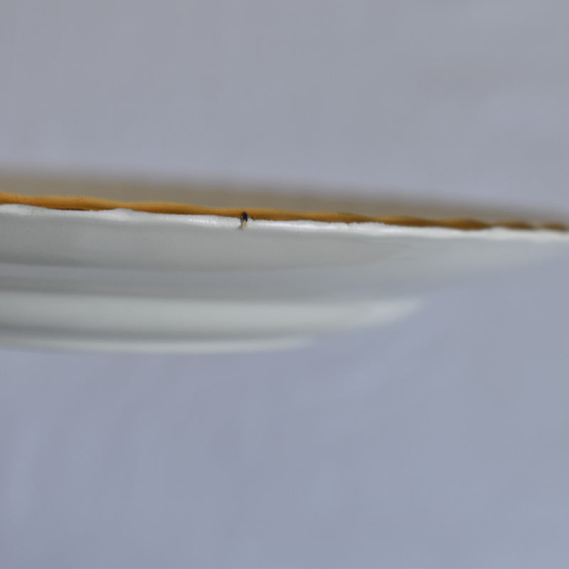 Vintage dessert plate Gien Tulipes D