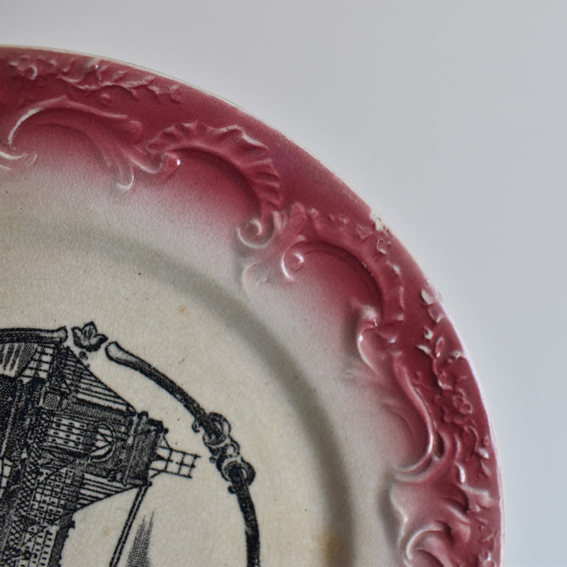 Antique Decorative Plate, F.F. Pecsonne, Lyon B