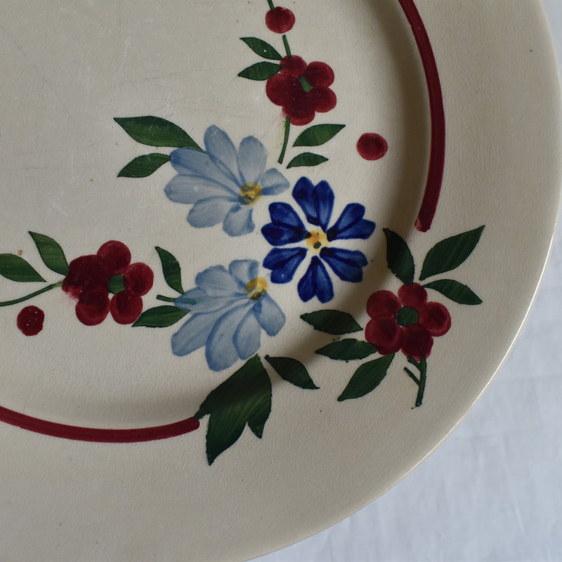 Vintage Plate Digoin & Sarreguemines Champfleury