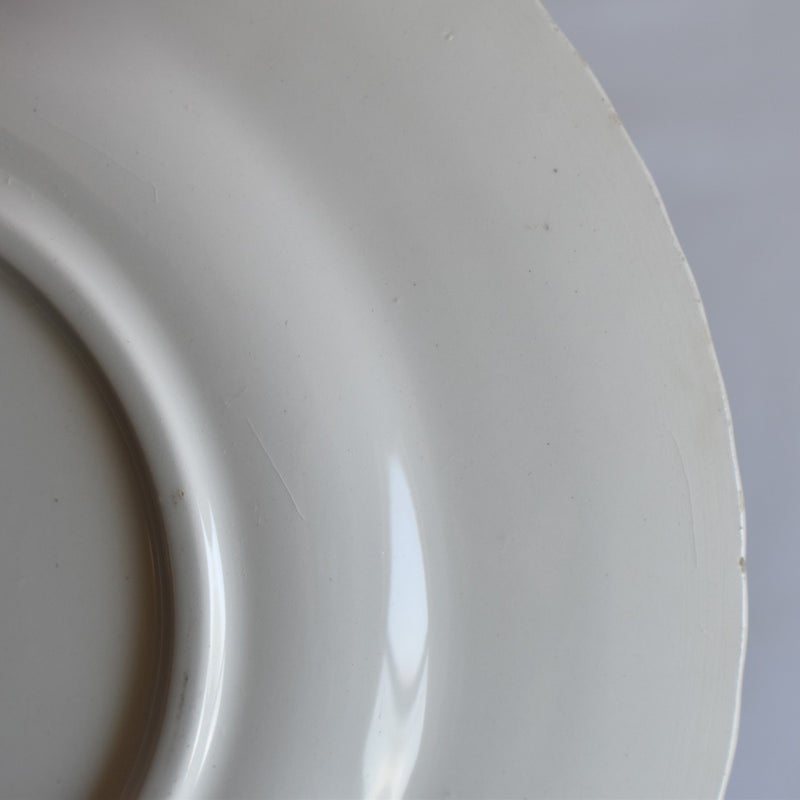 Vintage dessert plate Gien Tulipes E