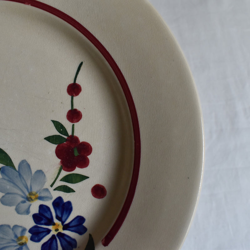 Vintage Plate Digoin & Sarreguemines Champfleury