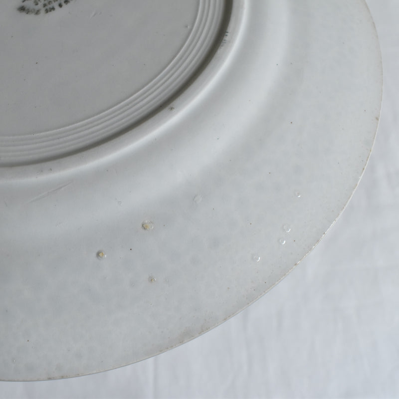 Vintage Plate Saint-Amand Ceranord