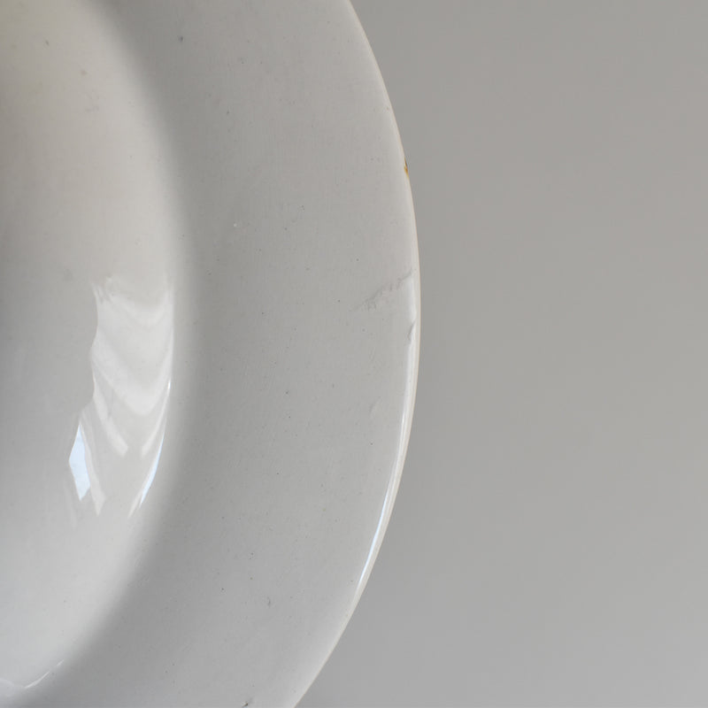Vintage Deep Plate, Digoin & Sarreguemines, White D