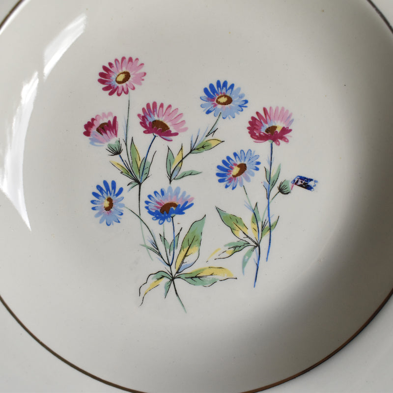 Vintage Deep Plate, Digoin & Sarreguemines, Christine G