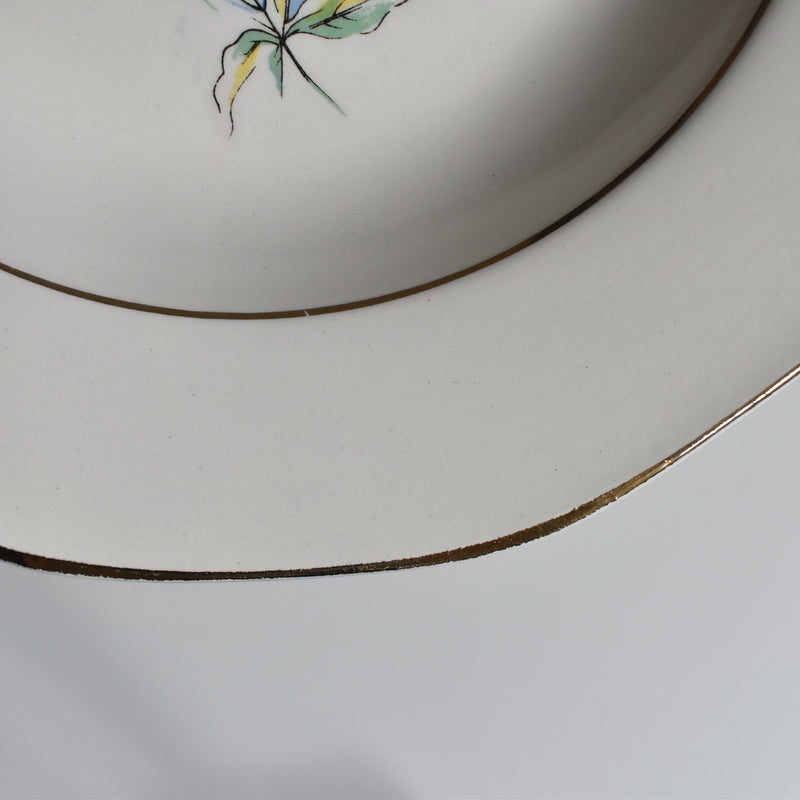 Vintage Deep Plate, Digoin & Sarreguemines, Christine G