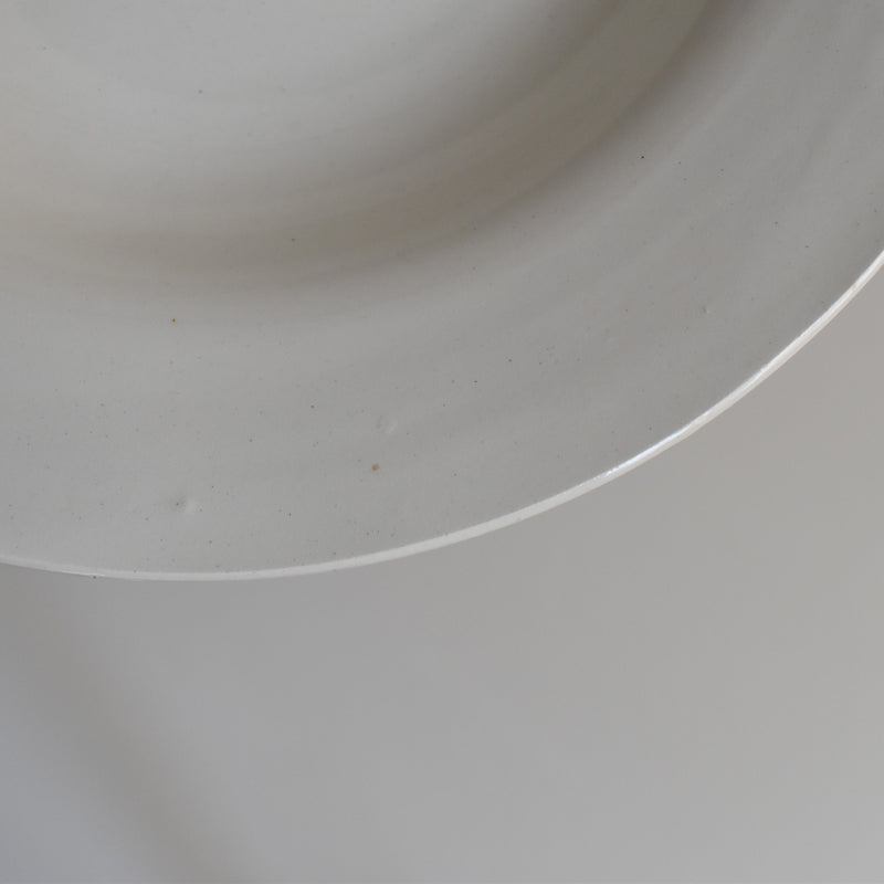 Vintage Deep Plate, Digoin & Sarreguemines White E