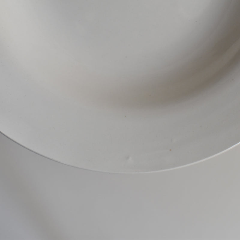Vintage Deep Plate, Digoin & Sarreguemines White E