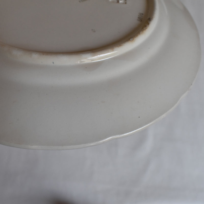 Vintage Dessert Plate Digoin & Sarreguemines Barbotine Fruits