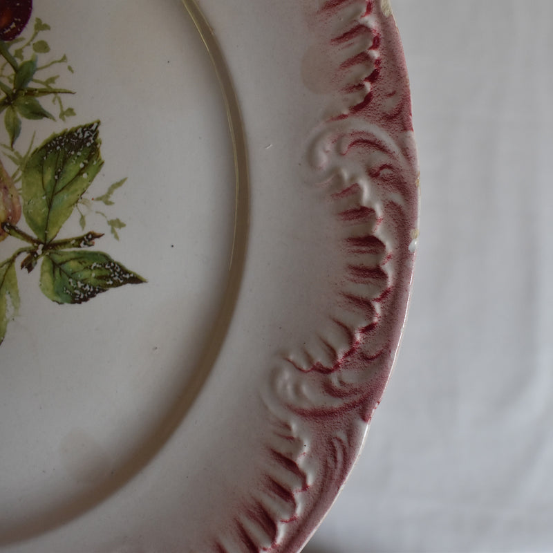 Vintage Dessert Plate Digoin & Sarreguemines Barbotine Fruits