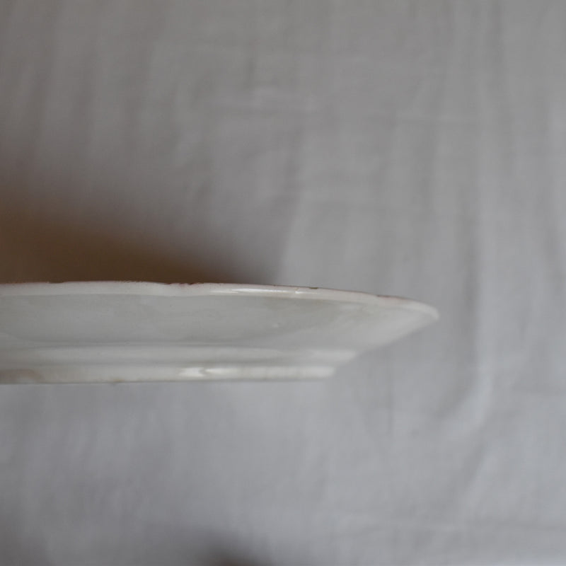 Vintage Dessert Plate Digoin & Sarreguemines Barbotine Fruits