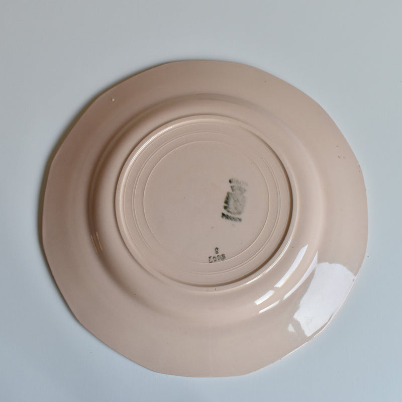 Vintage Plate Digoin & Sarreguemines 9147 Rose F