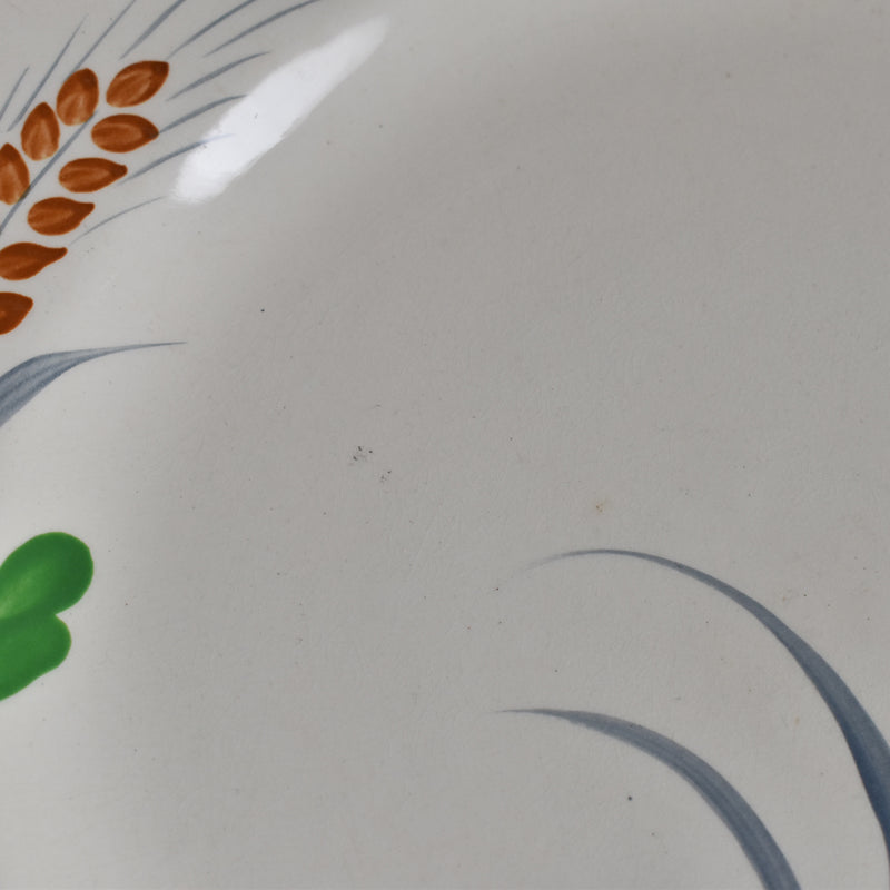 Vintage Plate "Salan Messidor B"