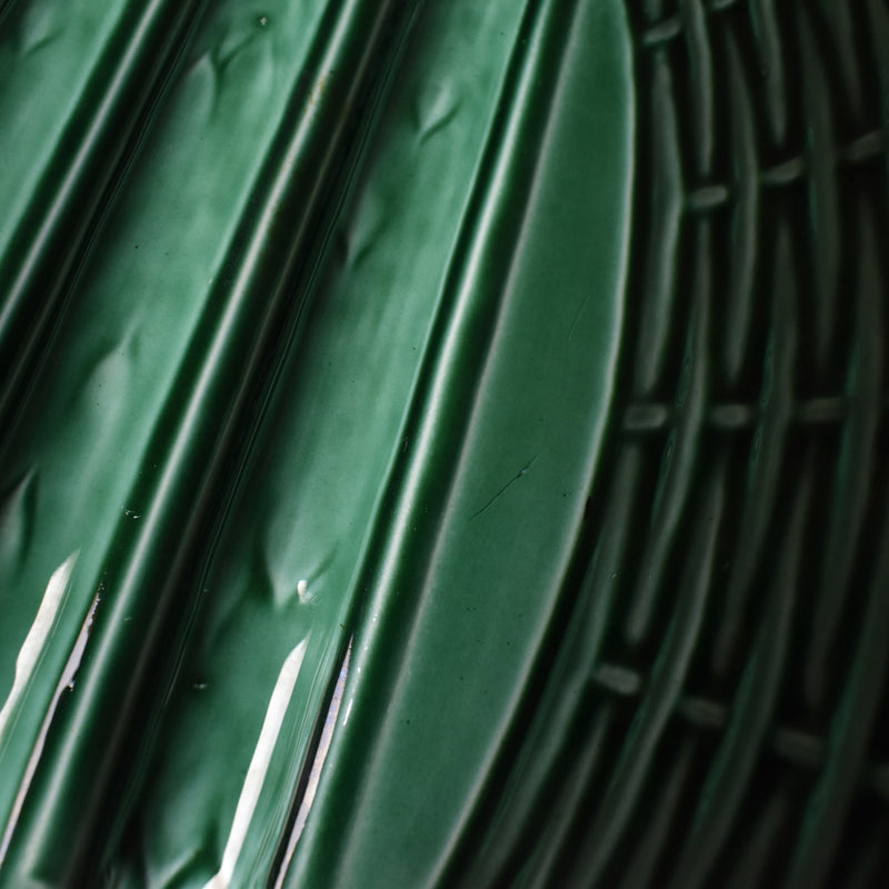 Vintage Barbotine Asparagus Plate