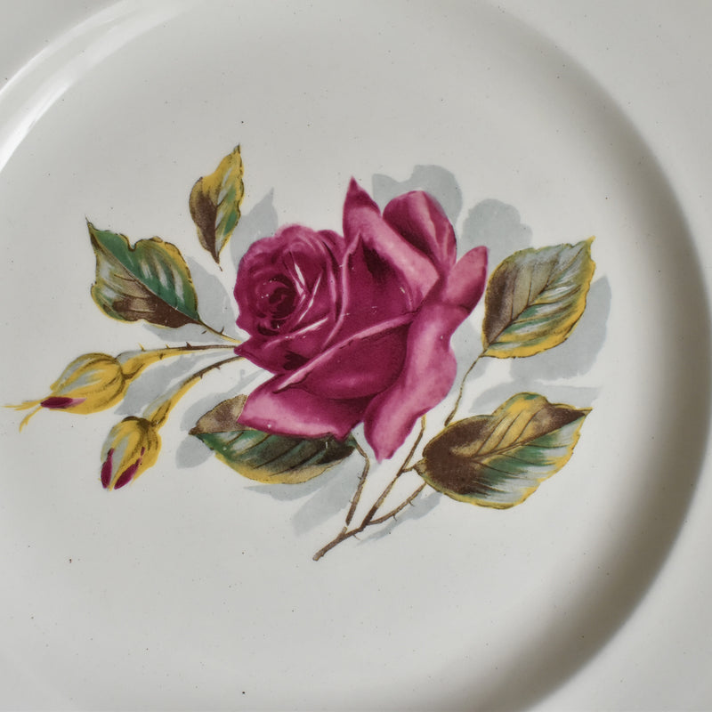 Vintage Plate Gien Chambord