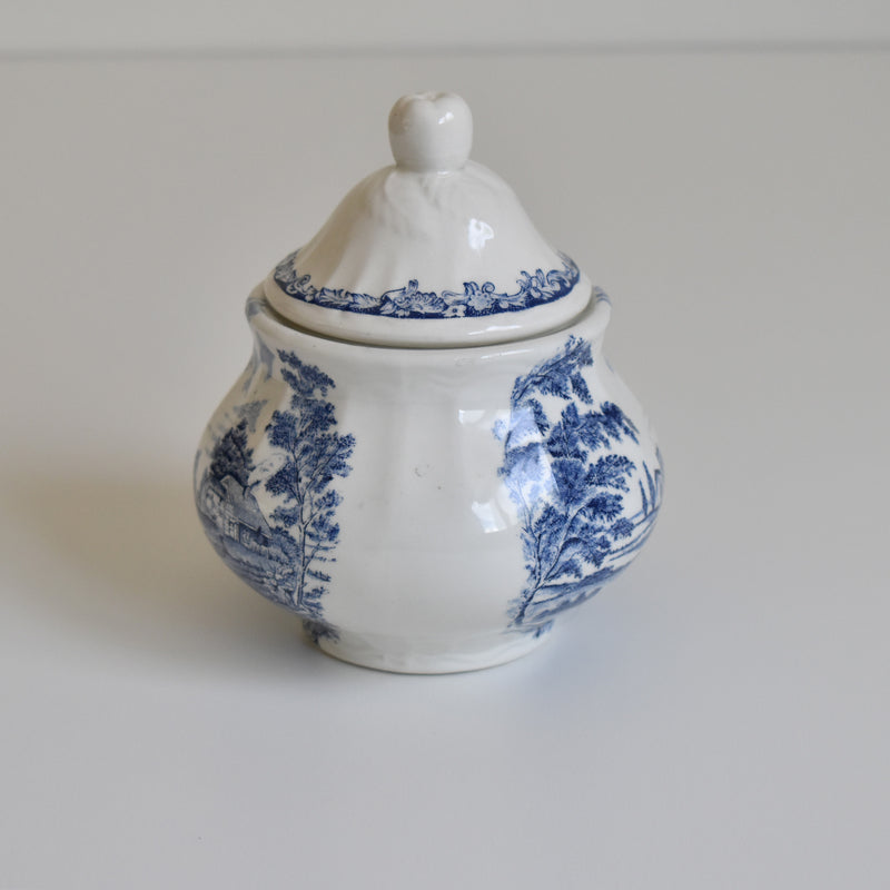 Vintage Sugar Pot, Lunéville, English Style