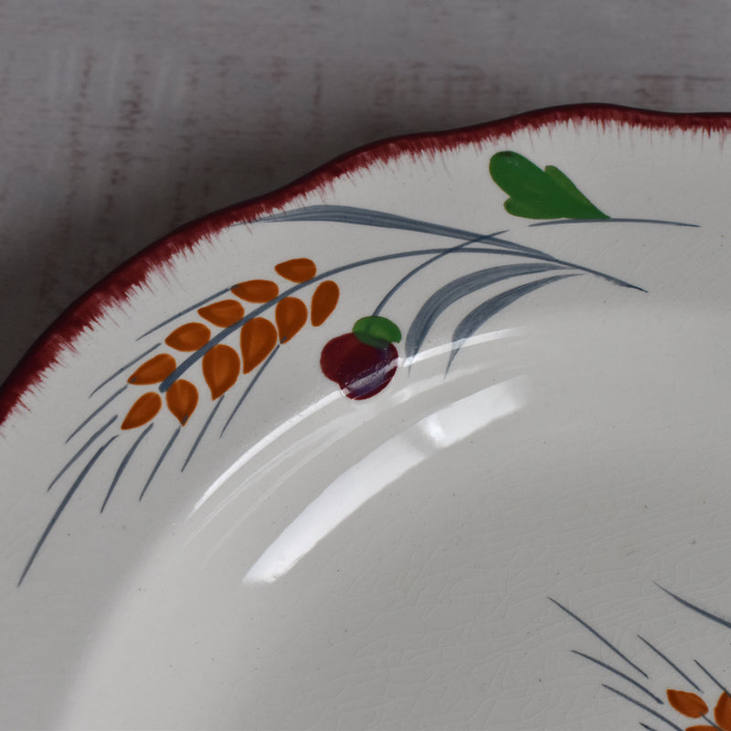 Vintage Deep Plate Saran Messidor G