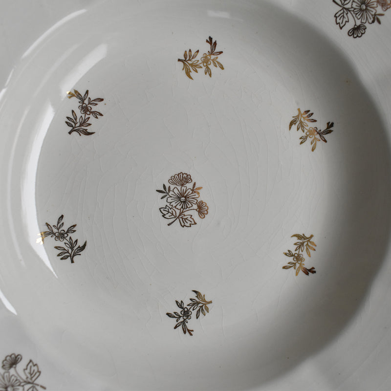 Vintage Deep Plate, Digoin & Sarreguemines, Fleurs de France A