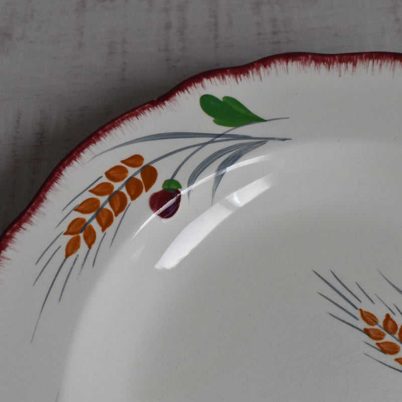 Vintage Deep Plate Salins Messidor E