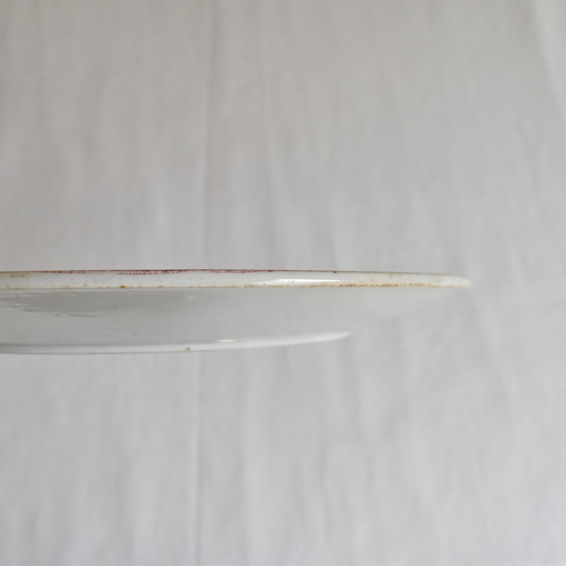 Antique Dessert Plate, Sarreguemines Fontanges C