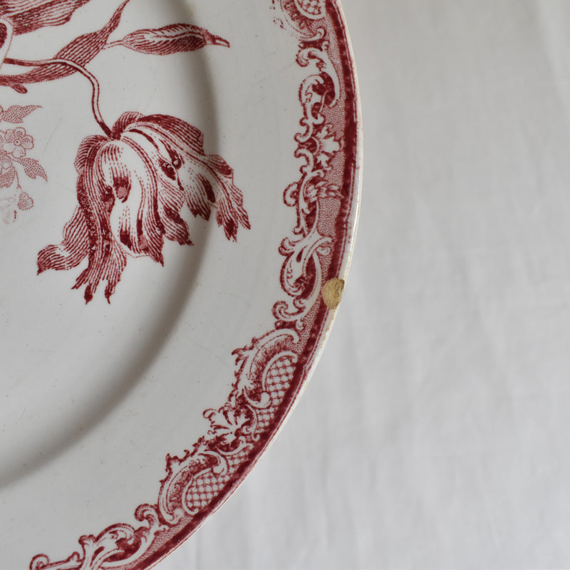 Antique Dessert Plate, Sarreguemines Fontanges C