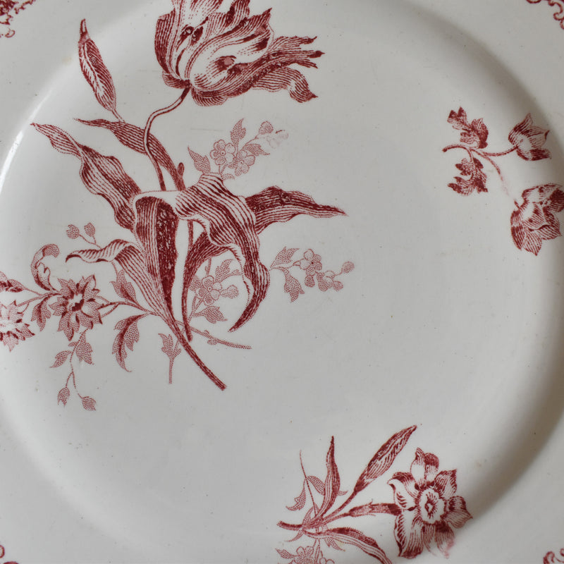 Antique Dessert Plate, Sarreguemines Fontanges C