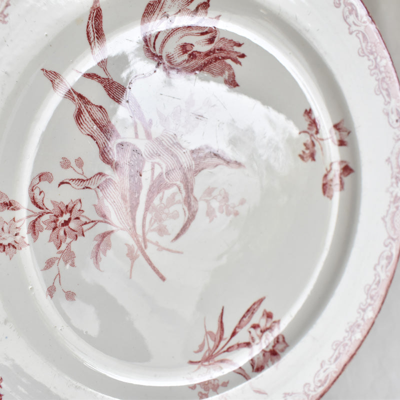 Antique Dessert Plate, Sarreguemines Fontanges C