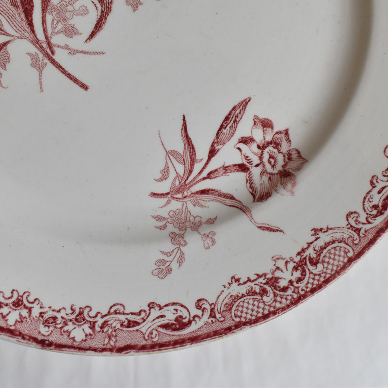 Antique Dessert Plate, Sarreguemines Fontanges C