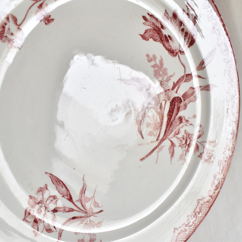 Antique Dessert Plate, Sarreguemines Fontanges B
