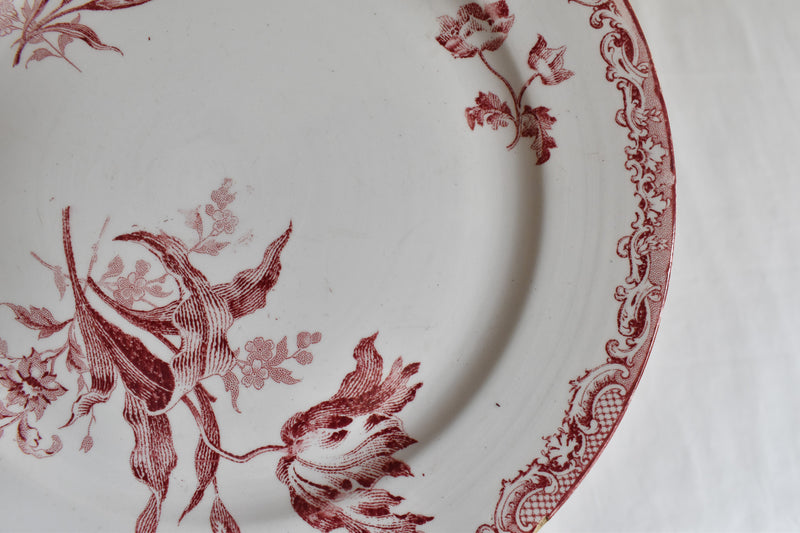 Antique Dessert Plate, Sarreguemines Fontanges B