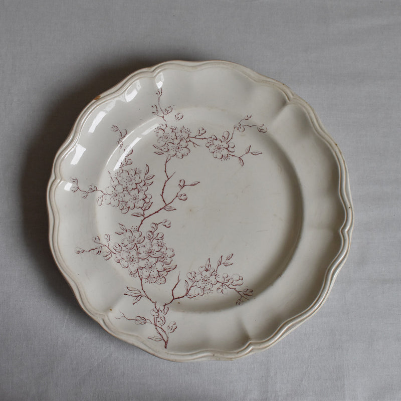 Antique Plate - Longchamp Pommier (Apple Tree)