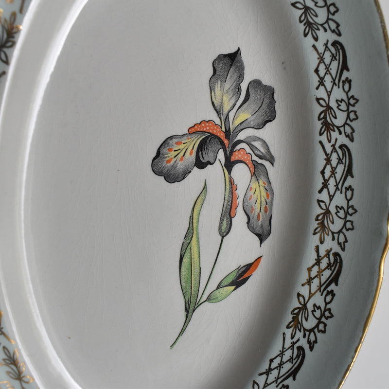 ヴィンテージラヴィエ ムラン・デ・ルー Iris