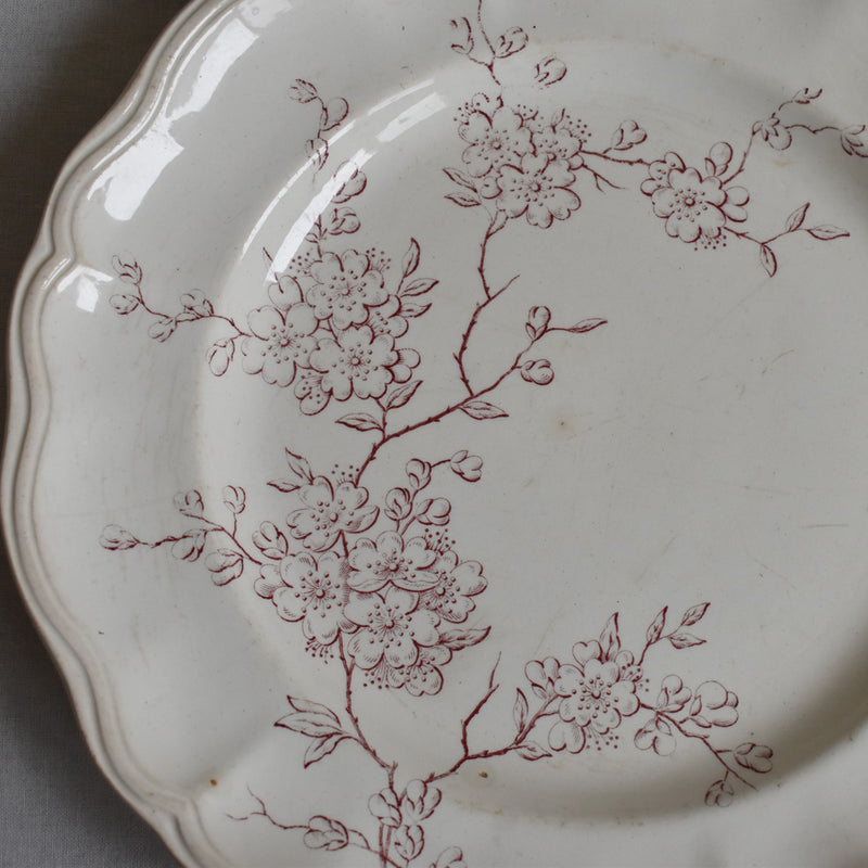 Antique Plate - Longchamp Pommier (Apple Tree)