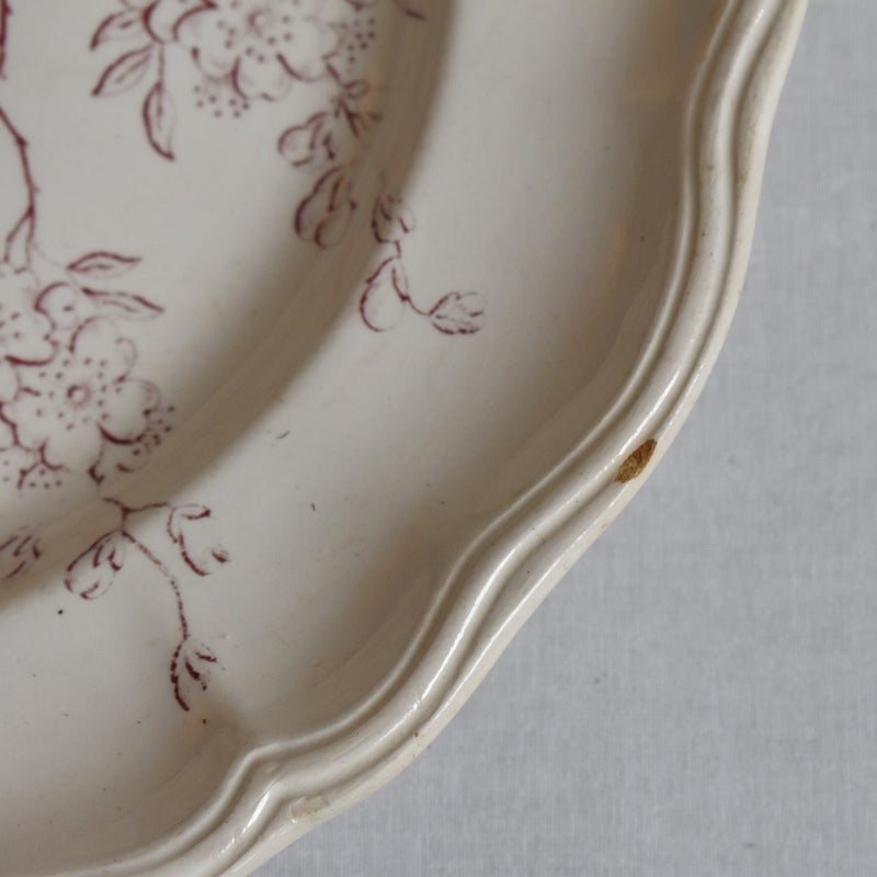 Antique Plate - Longchamp Pommier (Apple Tree)