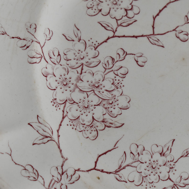 Antique Plate - Longchamp Pommier (Apple Tree)