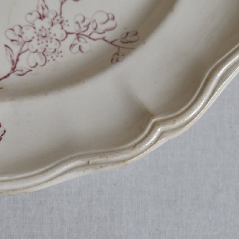 Antique Plate - Longchamp Pommier (Apple Tree)