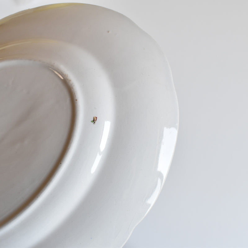 Vintage Oval Platter Digoin & Sarreguemines Graziella