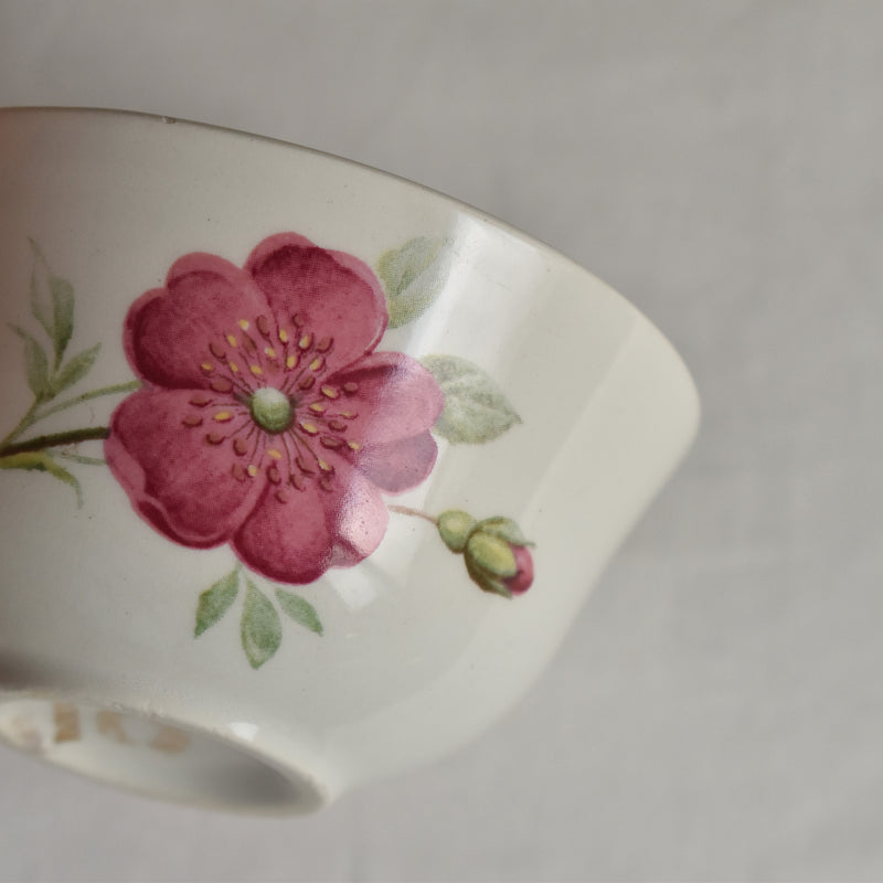 Vintage Gien Rosine Cup & Saucer A
