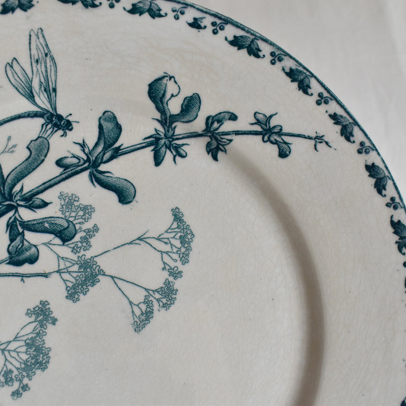 Antique Dessert Plate, Sarreguemines, Carmen C