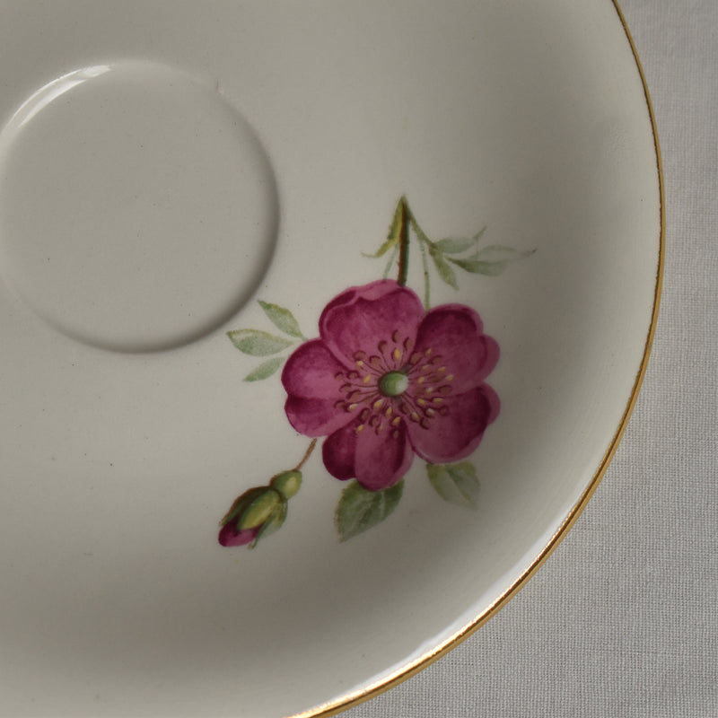 Vintage Cup & Saucer, Gien Rosine B