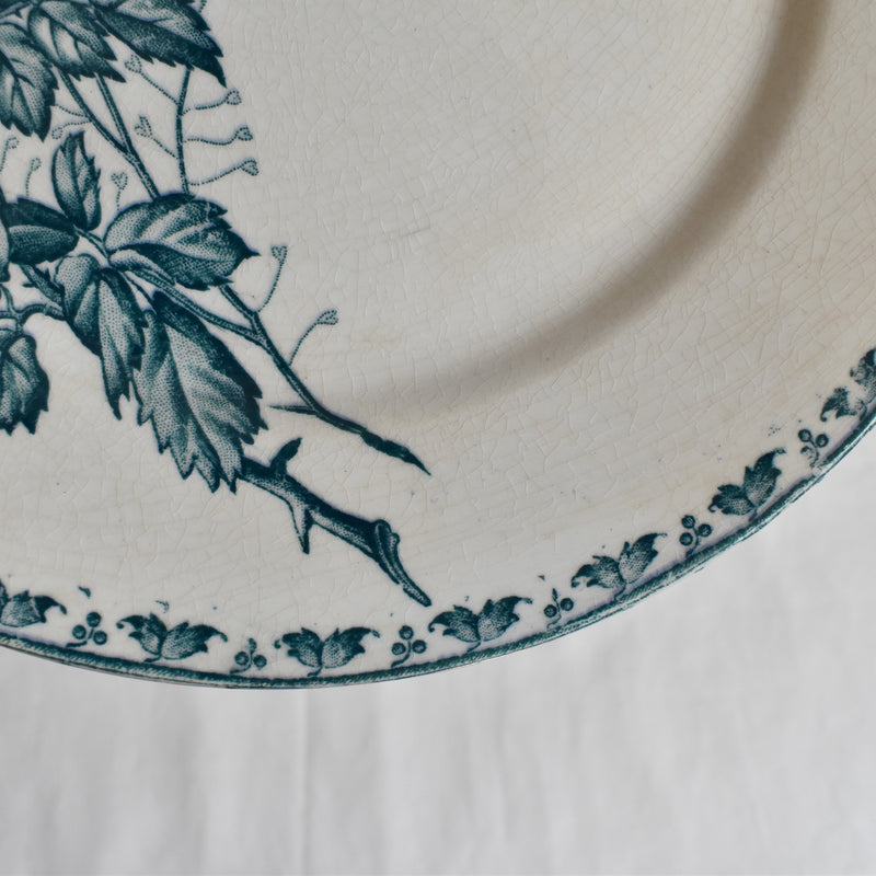 Antique Dessert Plate - Sarreguemines Carmen B