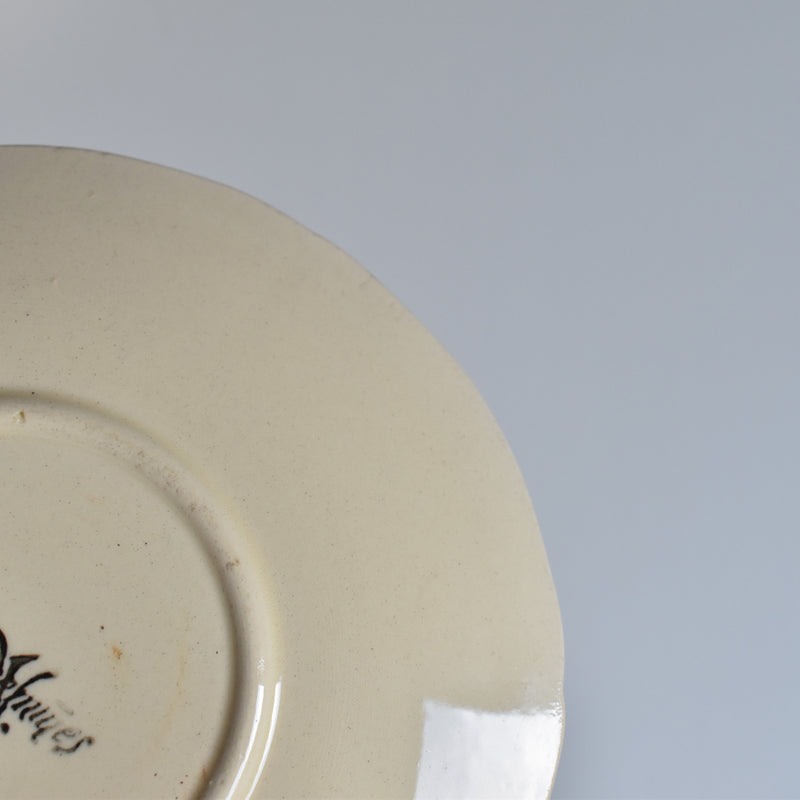 Vintage Tea Cup & Saucer - Petal Rim D